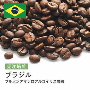 コーヒー豆 #214 ブラジル ブルボンアマレロアルコイリス農園 受注焙煎!310g 珈琲豆 コーヒー豆 自家焙煎