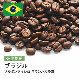 コーヒー豆 #242 ブラジル ブルボンアマレロ ラランハル農園 受注焙煎!310g 珈琲豆 自家焙煎