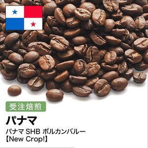 コーヒー豆 #267 パナマSHB ボルカンバルー 受注焙煎!310g 珈琲豆 自家焙煎