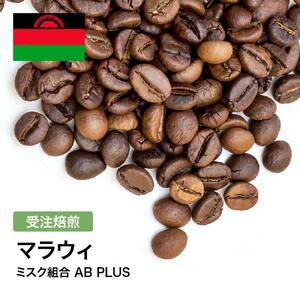 コーヒー豆 #298 マラウィ ミスク組合 AB PLUS 受注焙煎!310g 珈琲豆 自家焙煎