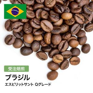 コーヒー豆 #305 ブラジル エスピリットサント Qグレード 受注焙煎!310g 珈琲豆 自家焙煎