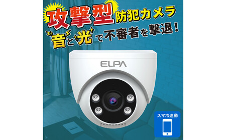 ドーム型カメラ　TBC-DC300