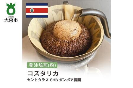[粉]#71 受注焙煎!310g コスタリカ セントタラス SHB ガンボア農園 珈琲粉 コーヒー粉 自家焙煎