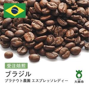 [豆]#83 受注焙煎!310g ブラジル プラナウト農園 エスプレッソレディー 珈琲豆 コーヒー豆 自家焙煎