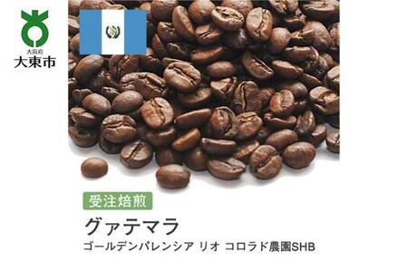 [豆]#80 受注焙煎!310g グアテマラ ゴールデンパレンシア リオ コロラド農園SHB 珈琲豆 コーヒー豆 自家焙煎