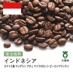 [豆]#141 受注焙煎!310g インドネシア BEAST MOUNTAIN スマトラ マンデリン アチェ 21-22 珈琲豆 コーヒー豆 自家焙煎