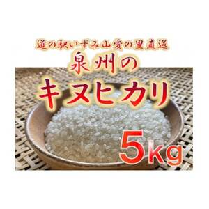 大阪府和泉市の農家さんが心を込めて作ったキヌヒカリ 一袋5kg。道の駅で大好評。