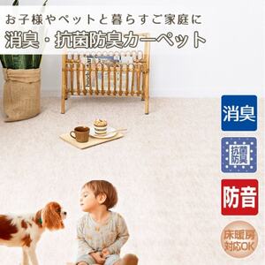 [3畳]お子様やペットと暮らすご家庭の快適カーペット アイボリー(エミリア3畳IV)
