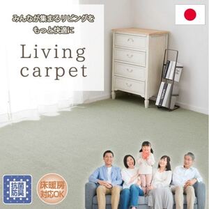 [4.5畳]家族が集まるリビングをもっと快適に!リビングカーペット グリーン(ウイング4.5畳GR)