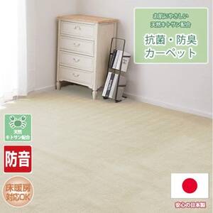 [江戸間4.5畳]お肌にやさしい天然キトサン配合の抗菌・防臭カーペット(BO-50-4.5畳IV)
