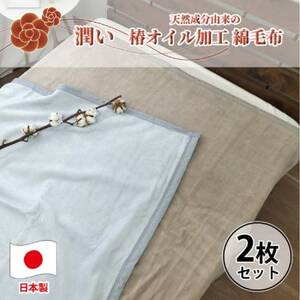 [2枚組]椿オイル加工 ふんわり綿毛布 シングルサイズ(140×200cm)CNM-101-2P