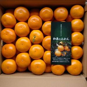 BꖼYn@a݂񉷏B(ʒʑʃTCY~bNX)@10kgy1535225z