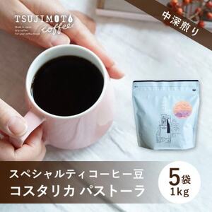 スペシャルティコーヒー豆 コスタリカ パストーラ1kg(200g×5袋)豆のまま中深煎り 辻本珈琲
