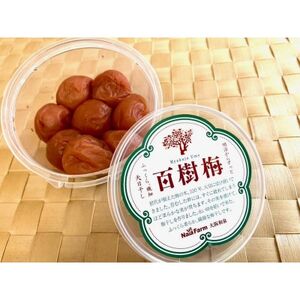 百樹梅