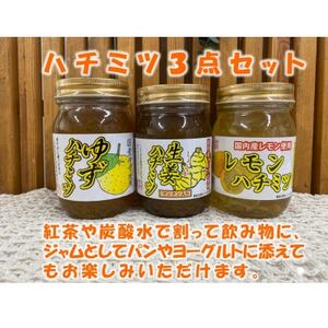 道の駅でも大好評!ハチミツ3点セット　柚子ハチミツ、生姜ハチミツ、レモンハチミツ【1550655】