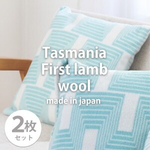 [2枚組]洗えるタスマニアラムウール混クッションカバー 45×45cm GR OTW-4545-2P