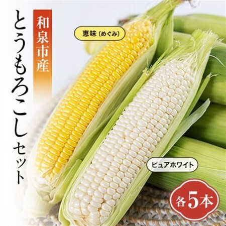和泉市産のとうもろこしセット(黄色5本・白色5本)[配送不可地域:離島]