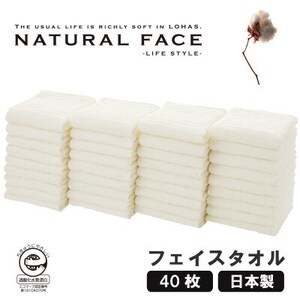 エコロジーフェイスタオル40枚セット【1647033】