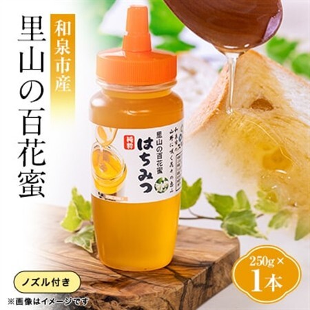 道の駅で大人気のハチミツ(250gノズル付きボトル　1本)【1657705】