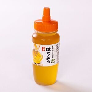 道の駅で大人気のハチミツ(250gノズル付きボトル　2本)【1657710】