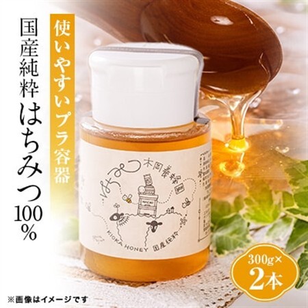 道の駅で大人気のハチミツ(使い勝手の良いプラ容器300g×2本)【1657883】