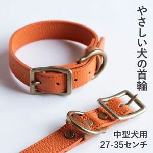 首輪 本革 イタリアンレザー オレンジ 中型犬用 (27-35センチ)ペット用品【dc-01ss】【1663208】