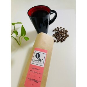 ���Ύ��������@�u���W���T���g�X(��)�y1666068�z