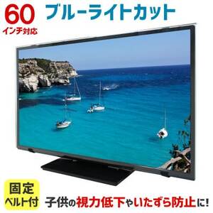 60MBL5 60インチ用 テレビ画面保護パネル ブルーライトカットタイプ 位置調整用スペーサー付