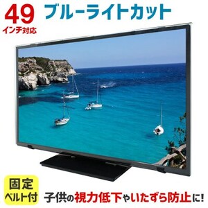49MBL5 49インチ用 テレビ画面保護パネル ブルーライトカットタイプ 位置調整用スペーサー付