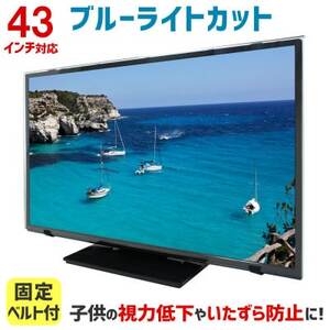43MBL5 43インチ用 テレビ画面保護パネル ブルーライトカットタイプ 位置調整用スペーサー付