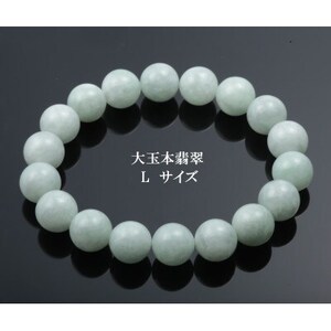 12~E{ŐuXbg@LyzsnFꌧzy1676431z