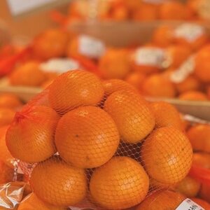 �a��̂߂��݁E�R���݂���(M�`2L�̍����E��5kg)�y1695776�z