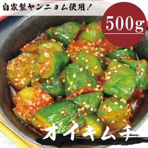 オイキムチ(500g)きゅうりキムチ 慶尚北道英陽産の唐辛子使用!自家製ヤンニョム 絶品おつまみ[配送不可地域:離島]