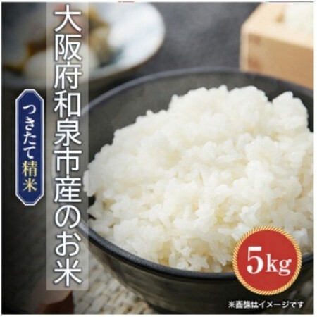 [発送月固定定期便]大阪府和泉市の農家さんが心を込めて作ったお米 1袋5kg [単一品種]全3回