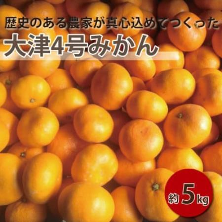 [2027年1月順次発送!]100年以上続くみかん農家がつくる「みかん(大津4号)」約5kg[配送不可地域:離島]