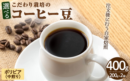 こだわり栽培のコーヒー豆(ボリビア)(計400g・200g×2袋) 焙煎 コーヒー 豆 珈琲 珈琲豆  [N BLOOD COFFEE ROASTERS]