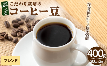 こだわり栽培のコーヒー豆(ブレンド)(計400g・200g×2袋) 焙煎 コーヒー 豆 珈琲 珈琲豆  [N BLOOD COFFEE ROASTERS]