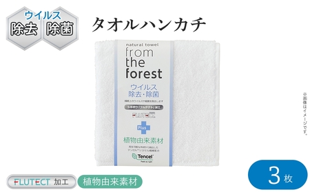 ウイルス除去・除菌加工タオルハンカチ(ホワイト×6枚) フルテクト ウイルス 99% 減少 特殊繊維 綿 コットン 生地 抗菌 除菌 無地 セット おしぼり マスク 吸水 防災 ホテル タオル 【m94-19】【マツイコーポレーション】