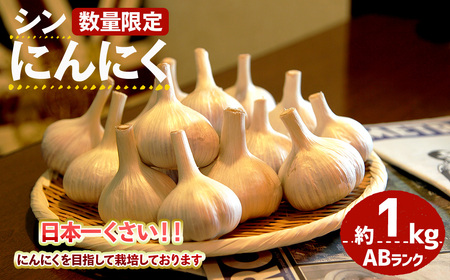 [7月上旬〜9月中旬発送予定][数量限定]シン・にんにく(ABランク・約1kg) 国産 大阪 箕面 シンニンニク 乾燥ニンニク ガーリック 常温 野菜 香味野菜 料理 新登場 [m102-04][トラキチ]