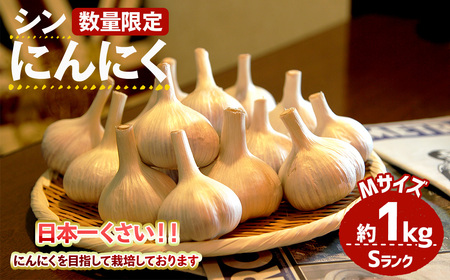 [7月上旬〜9月中旬発送予定][数量限定]シン・にんにく(Sランク・Mサイズ約1kg) 国産 大阪 箕面 シンニンニク 乾燥ニンニク ガーリック 常温 野菜 香味野菜 料理 新登場 [m102-01][トラキチ]