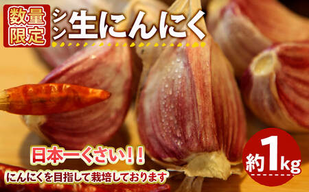 [5月中旬〜6月上旬発送予定][数量限定]シン・にんにく 生ニンニク(約1kg) 国産 大阪 箕面 シンニンニク 生にんにく ガーリック 採れたて 新鮮 幻 野菜 香味野菜 料理 新登場 [m102-07][トラキチ]