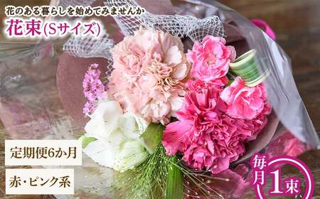 花束(Sサイズ・赤ピンク系・6ヶ月・毎月1束) 花束 ブーケ フラワーギフト 季節の花 生花 お祝い 誕生日 記念日 プレゼント ギフト 贈り物 【m56-05-SA6】【Porte-Bonheur】