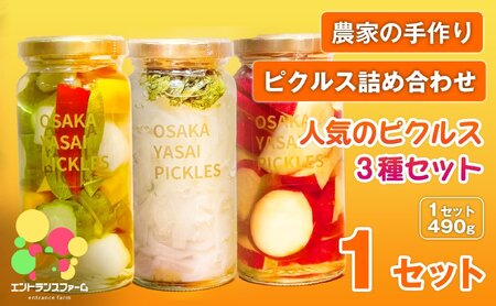 [農家の手作り ピクルス詰め合わせ!]人気のピクルス3種セット(1セット・計3本) タマネギと青じそ梅かつお さつまいもと柚子サワーバニラ 酢漬け 漬物 おかず ヘルシー カラフル おつまみ ギフト 贈答用 [m104-08-A][エントランスファーム]