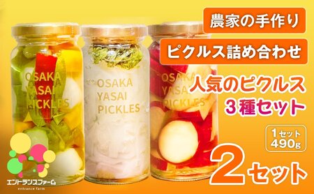 [農家の手作り ピクルス詰め合わせ!]人気のピクルス3種セット(2セット・計6本) タマネギと青じそ梅かつお さつまいもと柚子サワーバニラ 酢漬け 漬物 おかず ヘルシー カラフル おつまみ ギフト 贈答用 [m104-08-B][エントランスファーム]