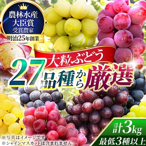 【2026年先行予約】27種の大粒品種から届く「秋の大粒ぶどう宝石箱」（シャインマスカット含まず）約3kg（9月中旬～下旬発送分）|ぶどう 詰合せ 希少 セット 大粒  残暑見舞い 敬老の日 葡萄 ブドウ 果物 フルーツ くだもの 大阪 贈答 プレゼント