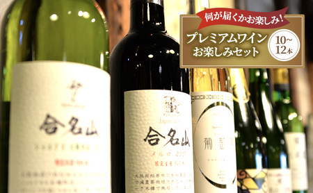 カタシモワイナリー プレミアムワイン 10〜12本 酒 メルロー シャルドネ