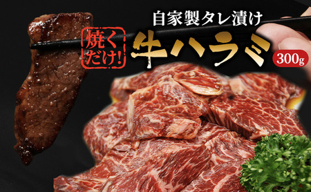 ハラミ たれ漬け 300g 牛肉 牛 肉 お肉 味付け肉 タレ 焼くだけ 真空パック 漬け 焼き肉 焼肉 バーベキュー アウトドア キャンプ 弁当 おかず 冷凍 牛ハラミ 大阪 柏原市