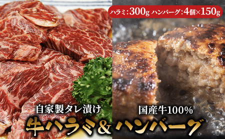 ハラミ たれ漬け 300g ハンバーグ 150g 4個 セット 詰め合わせ 味付け肉 タレ 真空パック 焼肉 バーベキュー アウトドア 弁当 おかず 牛ハラミ 冷凍 惣菜 煮込みハンバーグ お肉 肉 牛肉 牛 手作り ギフト 贈り物 大阪 柏原市