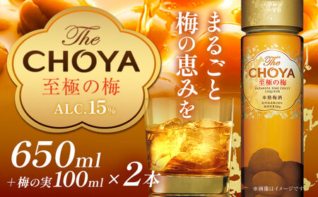 TheCHOYA 至極の梅 650ml×2本 羽曳野商工振興株式会社[30日以内に出荷予定(土日祝除く)]