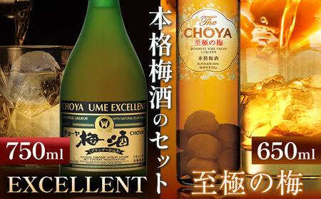 THE CHOYA 至極の梅 650ml EXCELLENT エクセレント 750ml 計2本 セット 飲み比べ 羽曳野商工振興株式会社[30日以内に出荷予定(土日祝除く)]